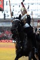 Cavalry - 00220